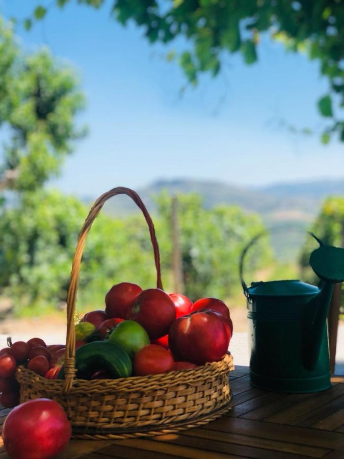 Quinta Pecêga - AL Acomodação com café da manhã Peso da Régua Exterior foto